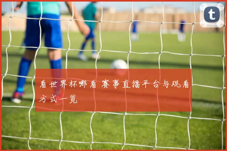 看世界杯哪看 赛事直播平台与观看方式一览
