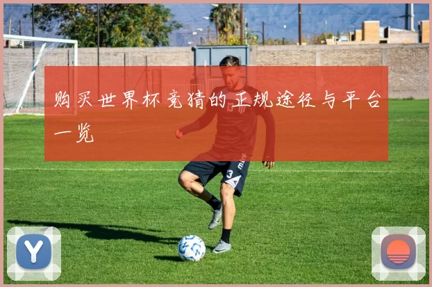 购买世界杯竞猜的正规途径与平台一览