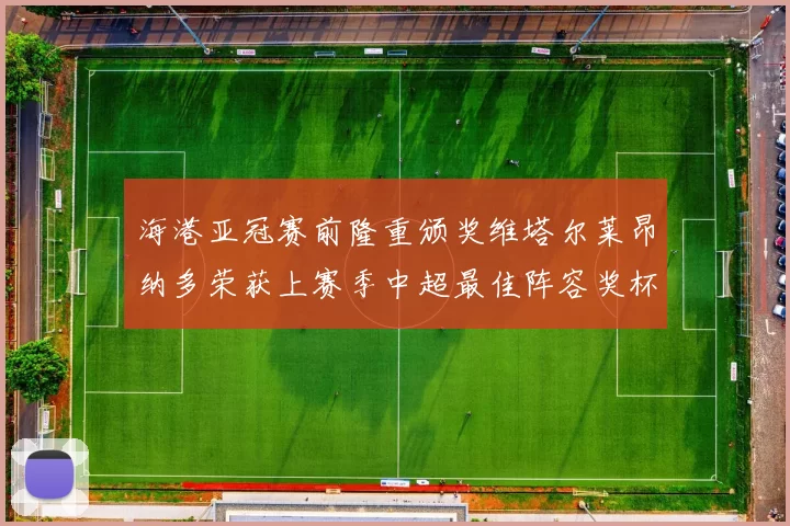 海港亚冠赛前隆重颁奖维塔尔莱昂纳多荣获上赛季中超最佳阵容奖杯