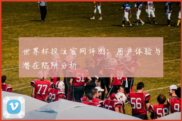 世界杯投注官网评测：用户体验与潜在陷阱分析