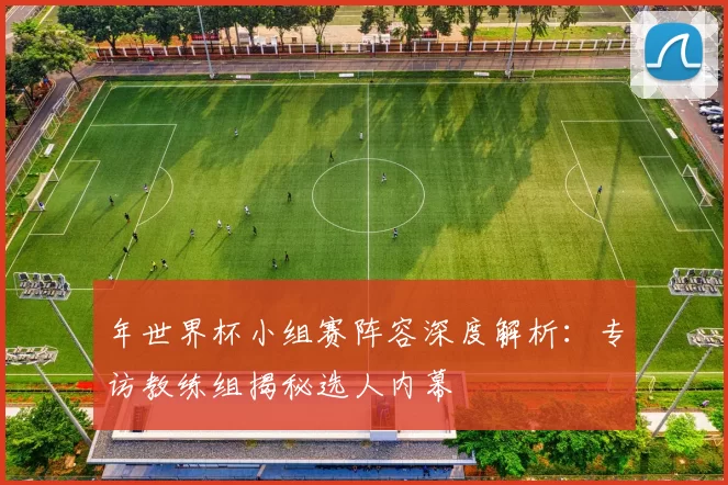 年世界杯小组赛阵容深度解析:专访教练组揭秘选人内幕