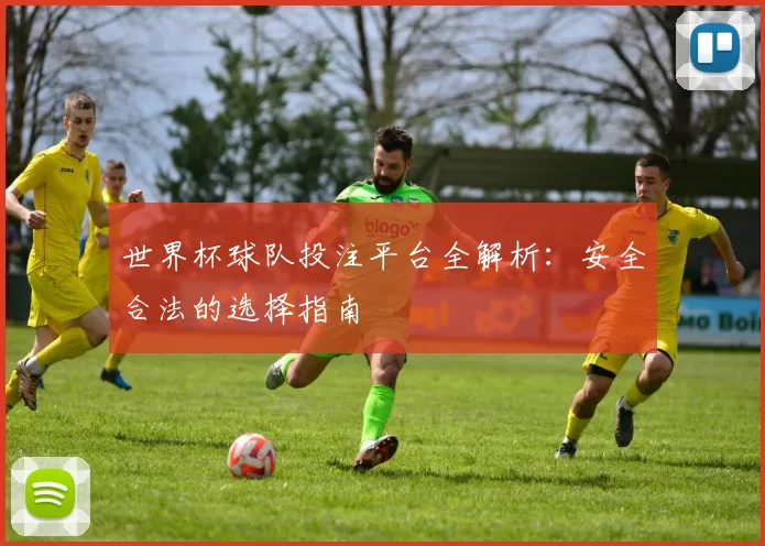 世界杯球队投注平台全解析：安全合法的选择指南