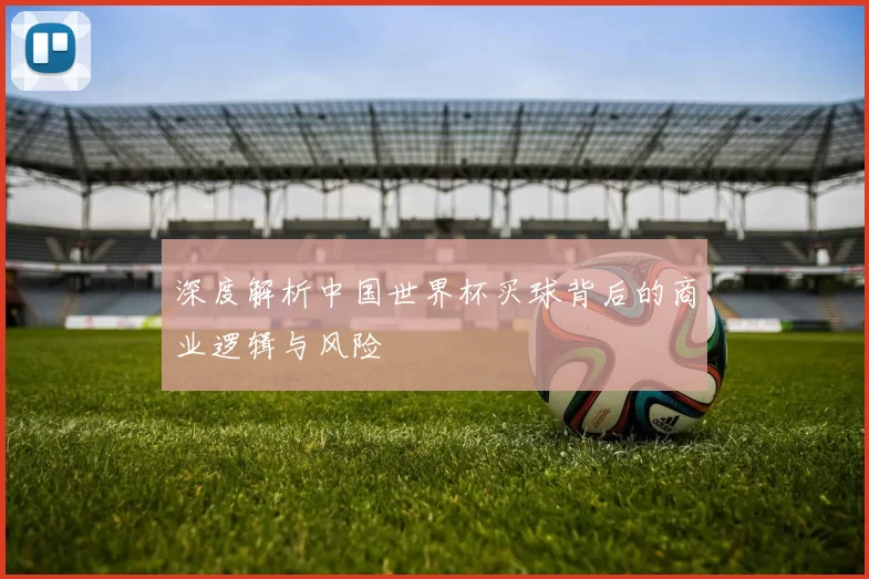 深度解析中国世界杯买球背后的商业逻辑与风险