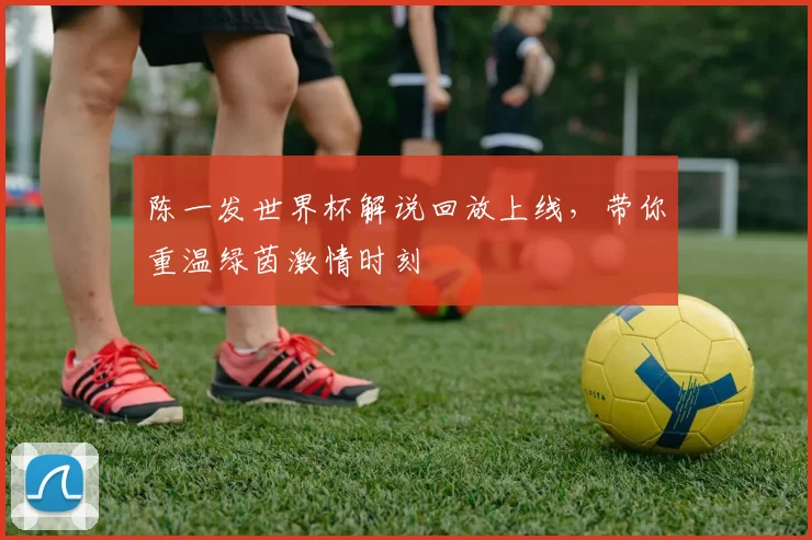 陈一发世界杯解说回放上线,带你重温绿茵激情时刻