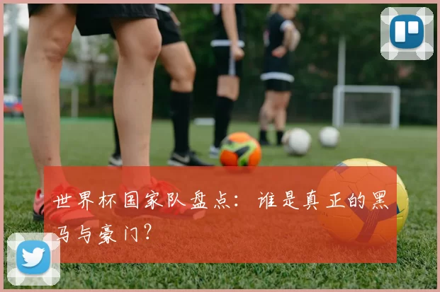世界杯国家队盘点:谁是真正的黑马与豪门?