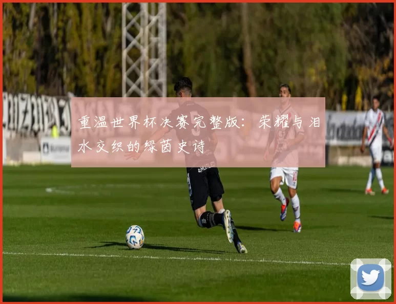 重温世界杯决赛完整版:荣耀与泪水交织的绿茵史诗