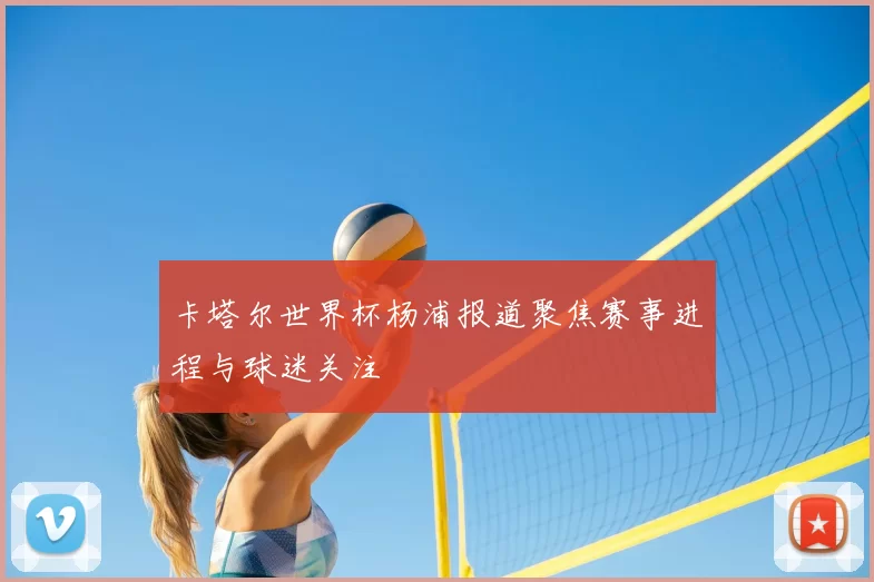 卡塔尔世界杯杨浦报道聚焦赛事进程与球迷关注