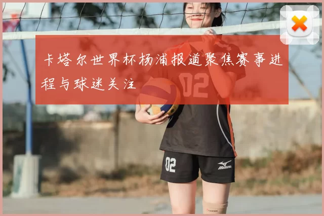 卡塔尔世界杯杨浦报道聚焦赛事进程与球迷关注