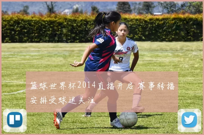 篮球世界杯2014直播开启 赛事转播安排受球迷关注