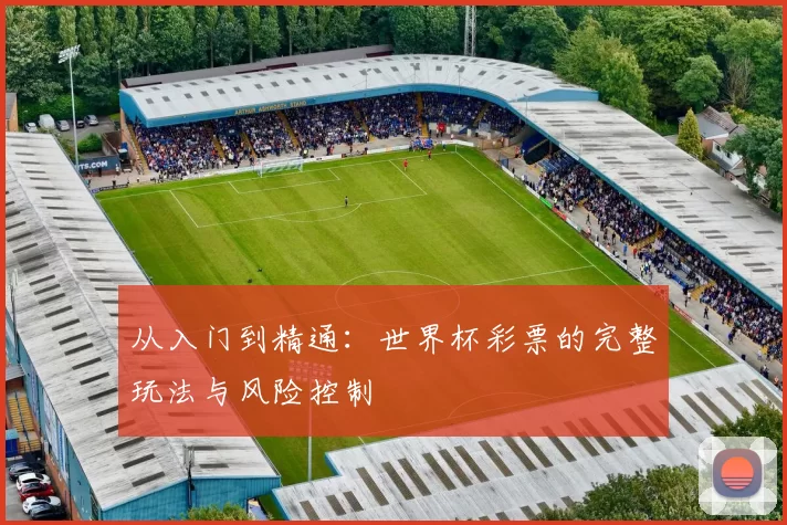 从入门到精通:世界杯彩票的完整玩法与风险控制