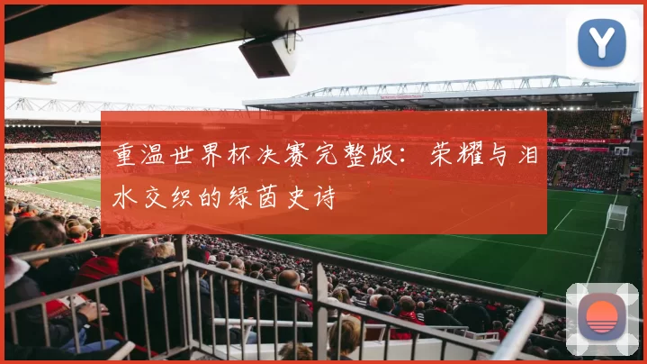 重温世界杯决赛完整版:荣耀与泪水交织的绿茵史诗