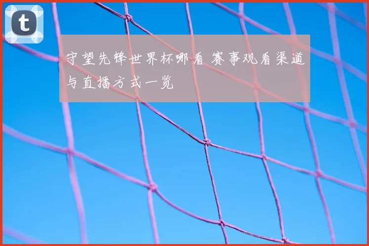 守望先锋世界杯哪看 赛事观看渠道与直播方式一览