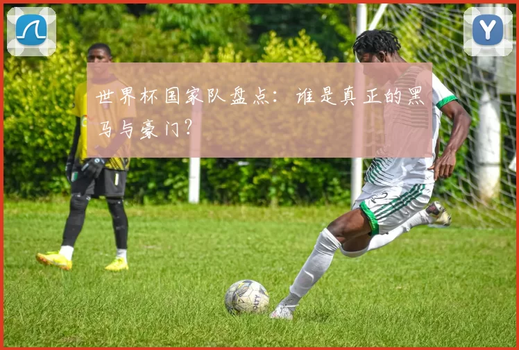 世界杯国家队盘点:谁是真正的黑马与豪门?