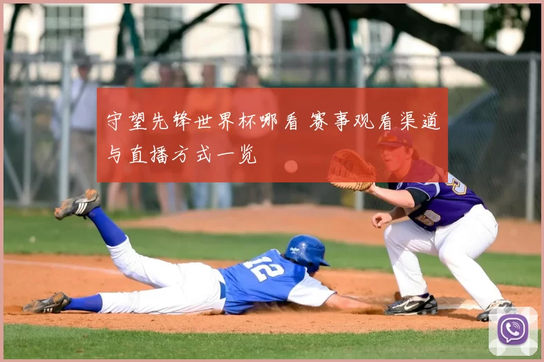 守望先锋世界杯哪看 赛事观看渠道与直播方式一览