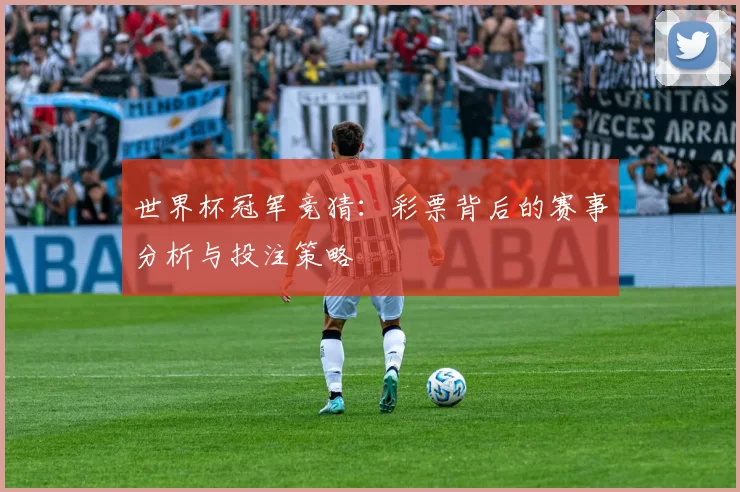 世界杯冠军竞猜:彩票背后的赛事分析与投注策略