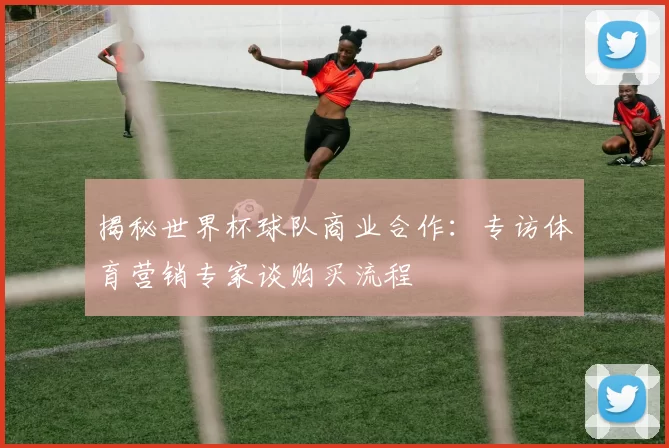 揭秘世界杯球队商业合作:专访体育营销专家谈购买流程