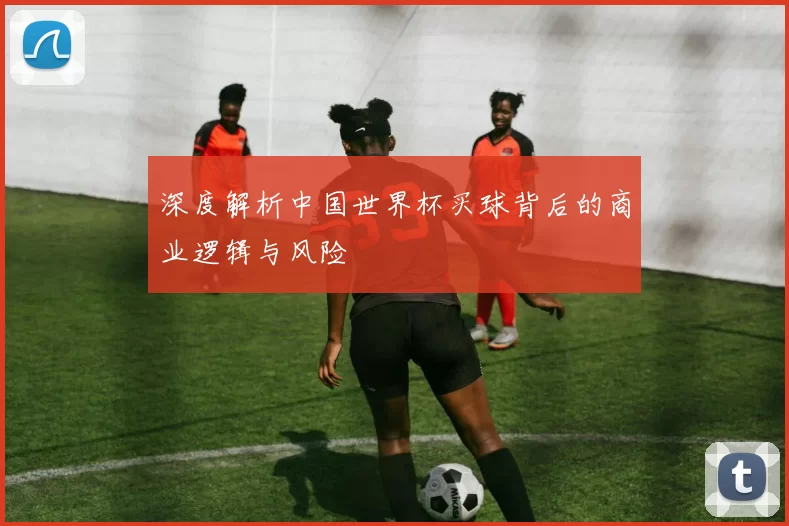 深度解析中国世界杯买球背后的商业逻辑与风险